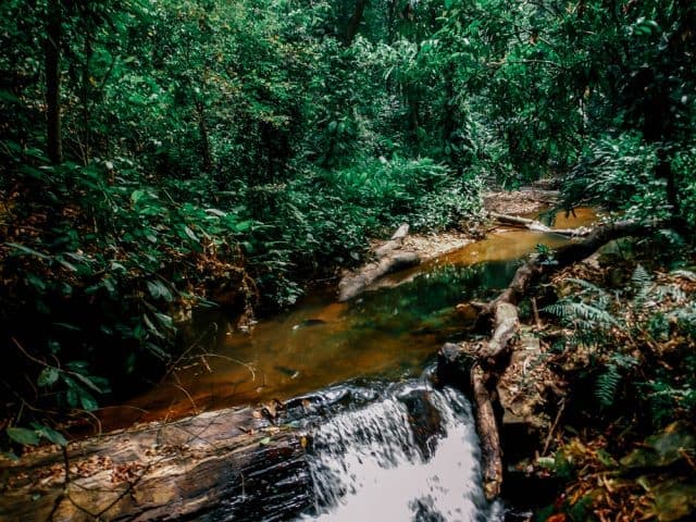 Akwaba Experience